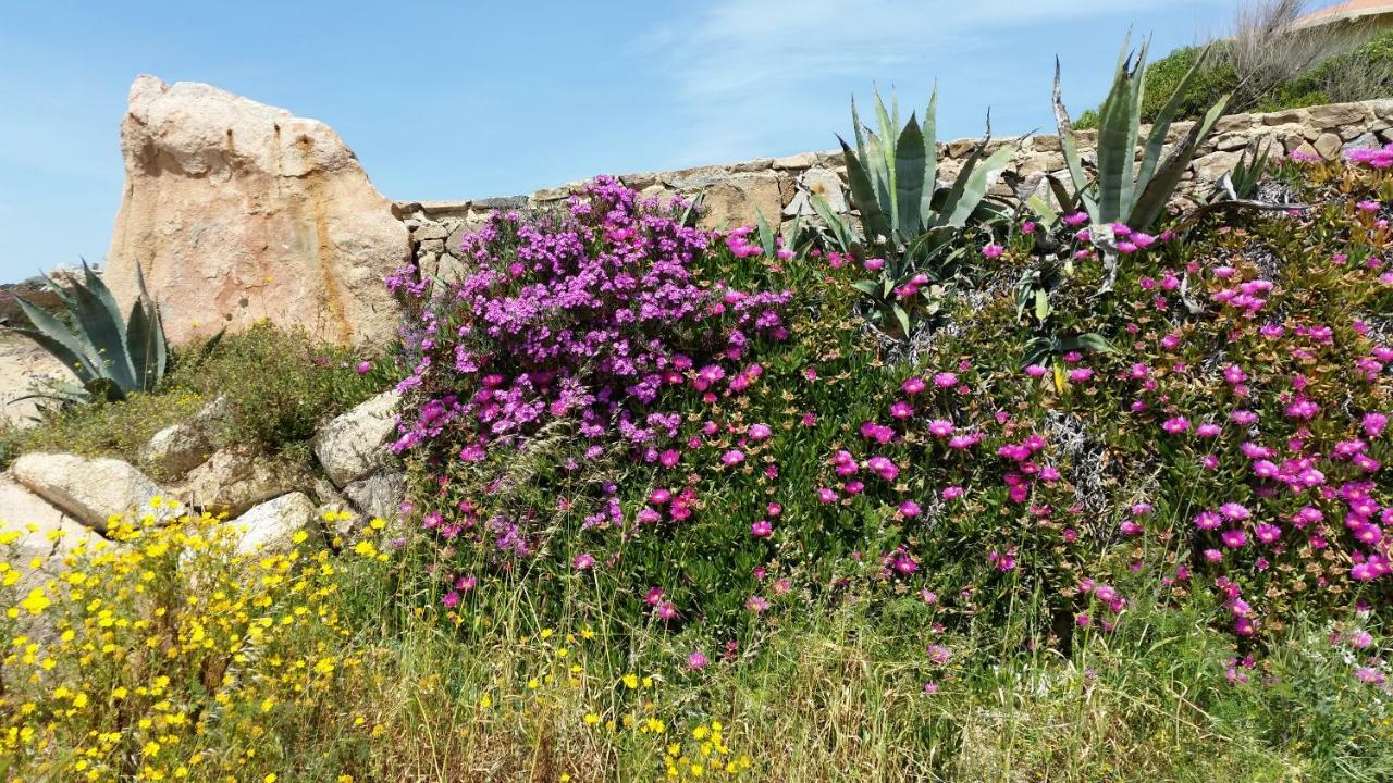 Casa Vacanze Della Maddalena Villa La Maddalena  Exterior photo